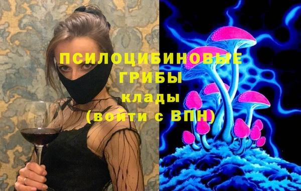 эйфоретик Богданович